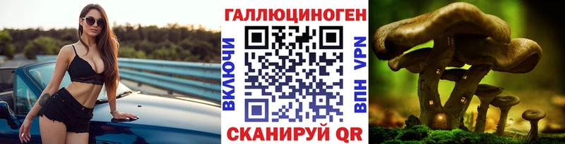 Псилоцибиновые грибы ЛСД Хадыженск